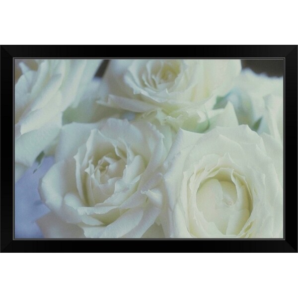 "Close-up of white roses" Black Framed Print
