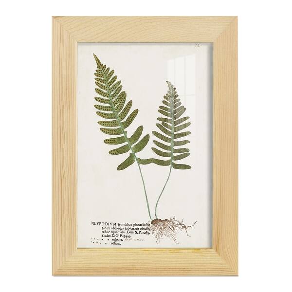 slide 2 of 120, Nature Printed Ferns IX -Framed Print w/glass-Cherry Red 4x6 - Natural