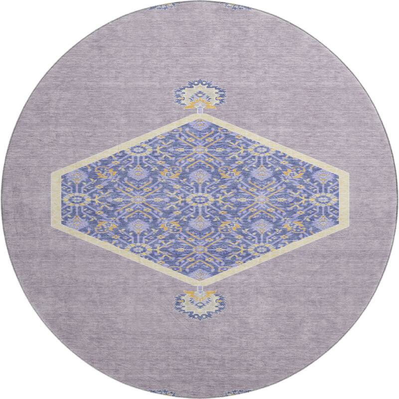 Premium Washable Super Soft Traditional Global Mayfield Rug