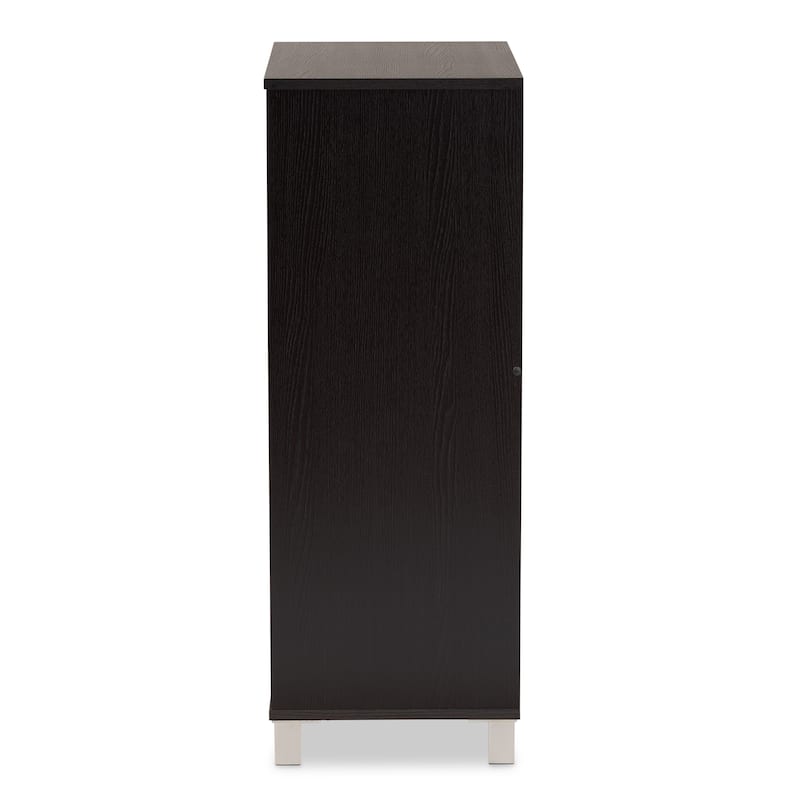 Ernest Dark Brown Finished Wood 2-Door Shoe Storage Cabinet