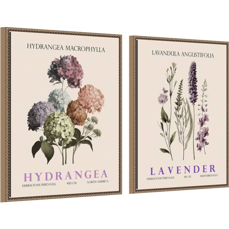 Amanti Art Vintage Hydrangea & Lavender 2 Piece by Christopher Giampietro Framed Canvas Wall Art