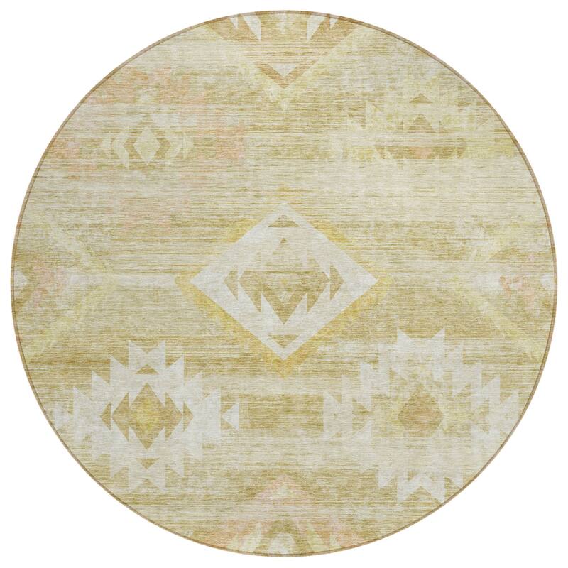 HomeRoots Southwestern Transitional Rectangle Outdoor Rug