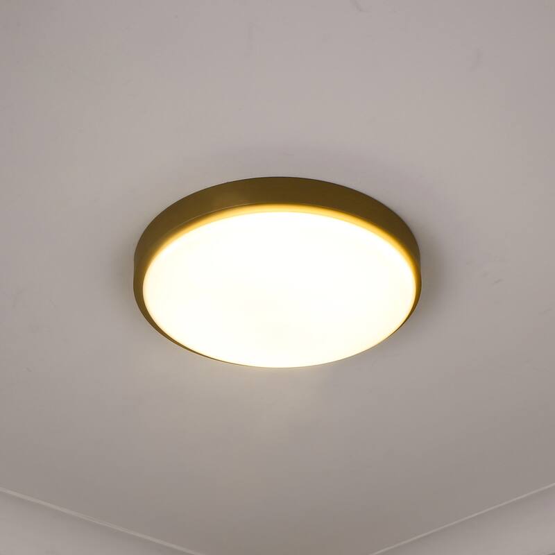 Gabi 13" Wide LED Flush Mount with Opal Glass