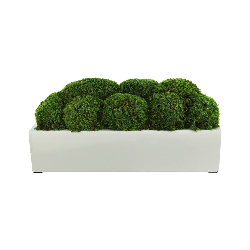 Mood Moss Arrangement in a Fiberstone Planter - Green
