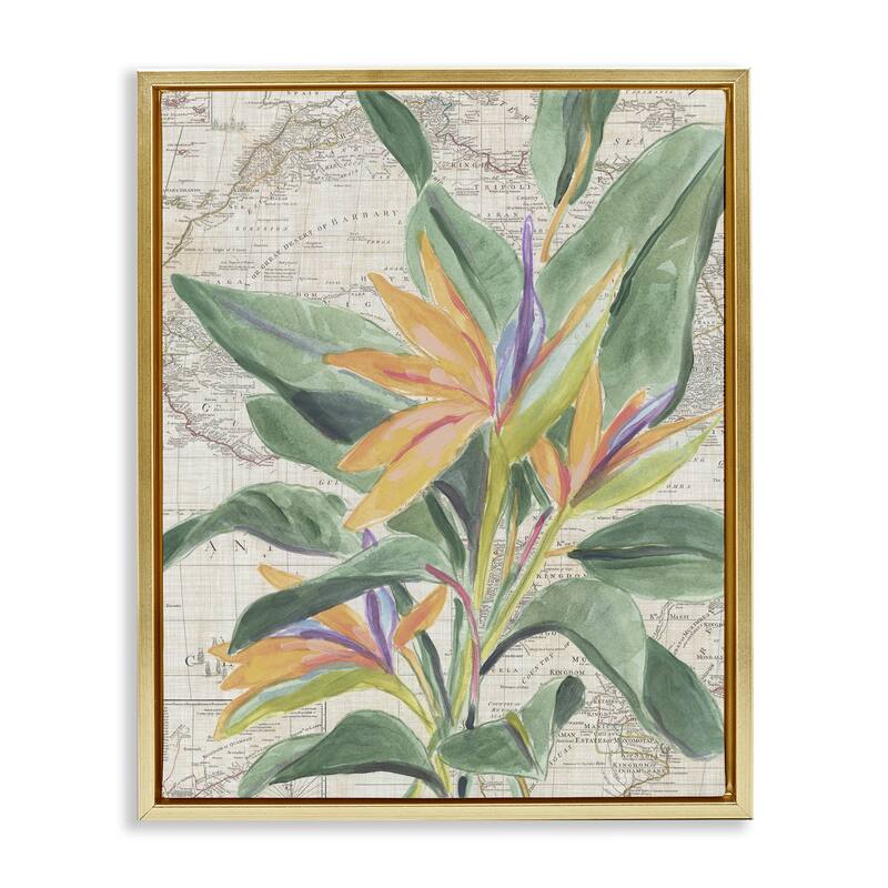 Stupell Tropical Flower over Map Framed Floater Canvas Wall Art Design By June Erica Vess - 25 x 31 - Gold