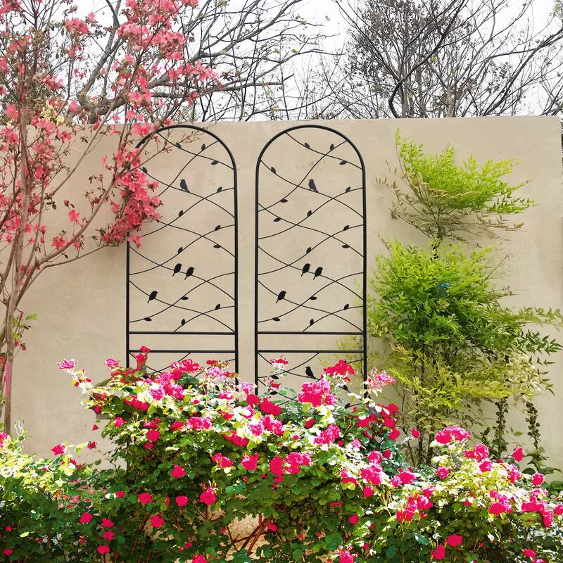 2 Pack Metal Garden Trellis Rustproof Trellis for Climbing Plants Outdoor Flower Support