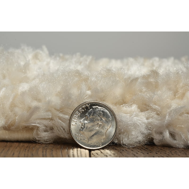 Domani Andrews Contemporary Shag Rug