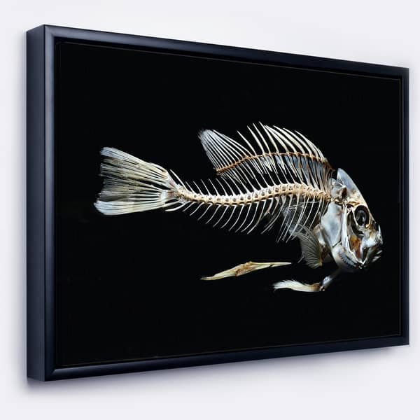 Designart Fish Skeleton Bone on Black Animal Framed Canvas Art Print -  Bed Bath & Beyond - 18945557
