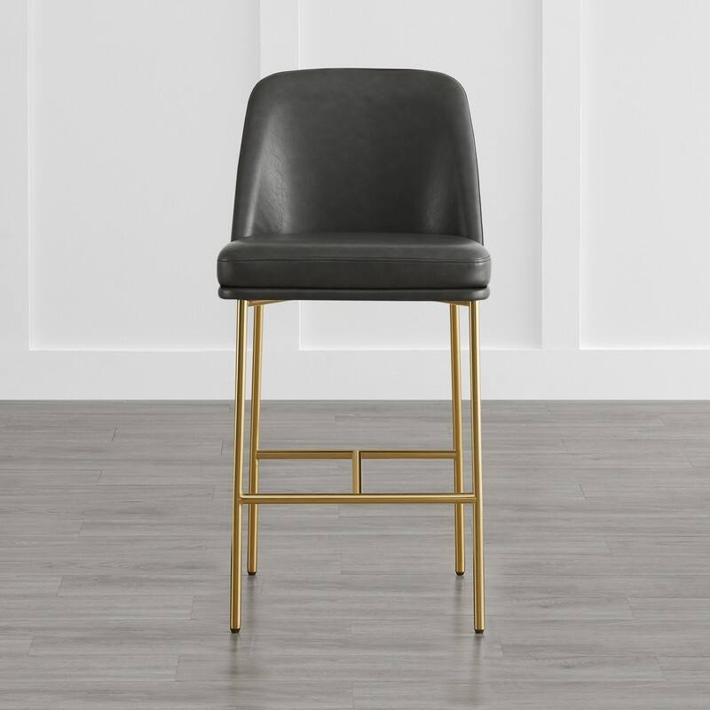Evelyn Modern 27 inch Counter Height Bar Stool Set of 2