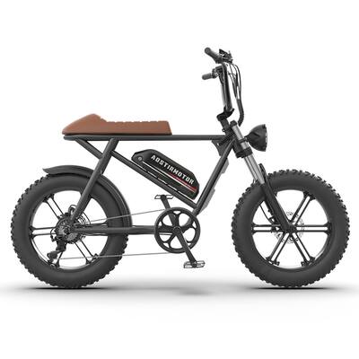 New Pattern Electric Bicycle With 750W Motor and 20" Fat Tire