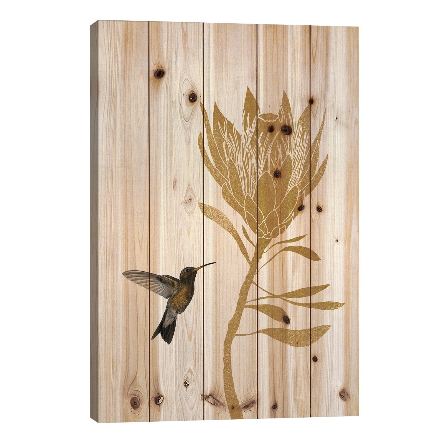 Hummingbird & Flower II Print On Wood by Orara Studio - Multi-Color