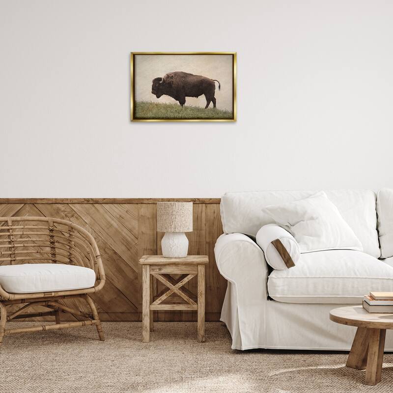 Stupell Serene Buffalo on Country Hill Framed Floater Canvas Wall Art Design By Steve Toole