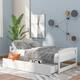 Option White