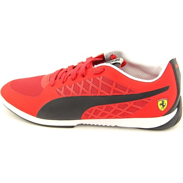 puma valorosso
