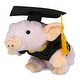 preview thumbnail 1 of 4, DolliBu Squat Piggy Graduation Plush Toy with Gown and Cap with Tassel - 7 inches
