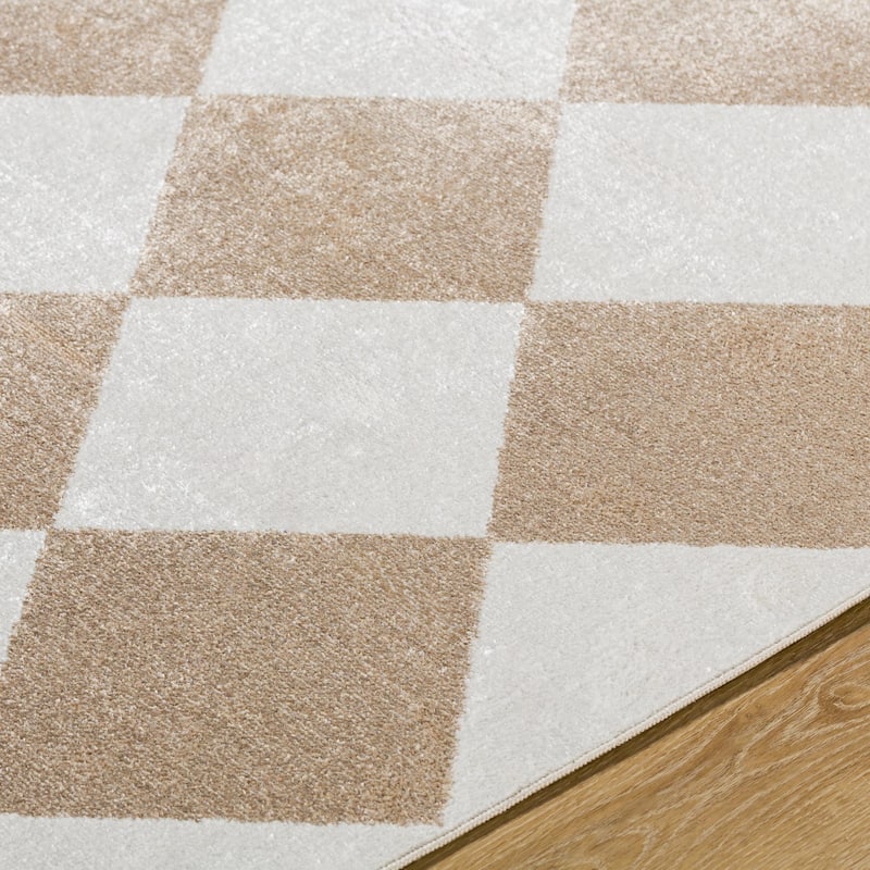 Livabliss Lillian Modern & Contemporary Checkered Indoor/Outdoor Area Rug