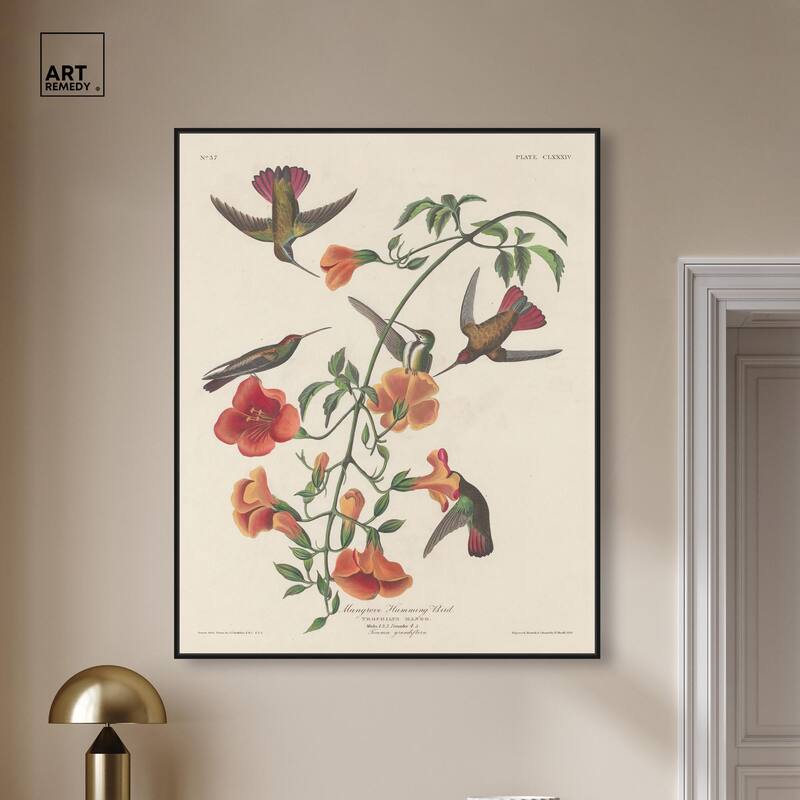 Humming Bird 1834 Canvas by Art Remedy