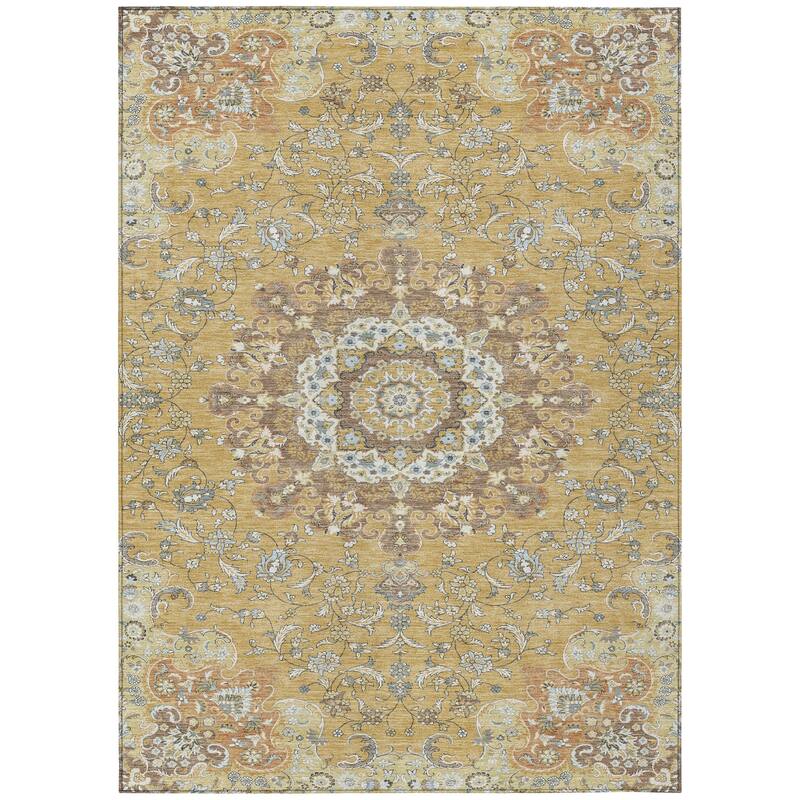 Machine Washable Indoor/ Outdoor Traditional Awaka Chantille Rug