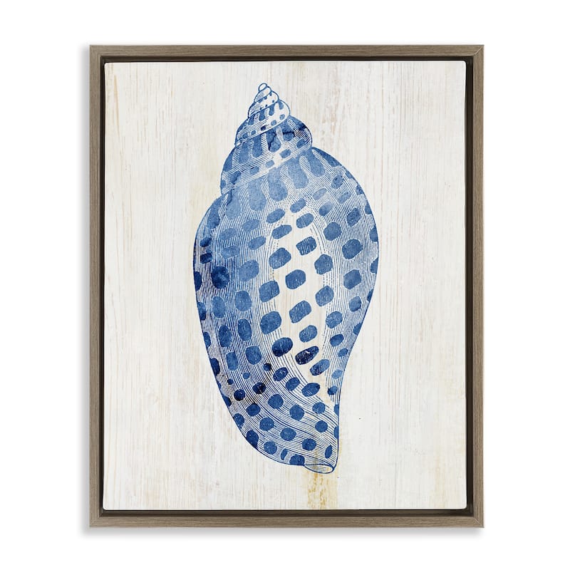 Stupell Spotted Blue Cowrie Shell Framed Floater Canvas Wall Art Design By Susan Arnot - 25 x 31 - Brown