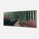 Bamboo Grove in Arashiyama Panorama - Oversized Forest Glossy Metal ...