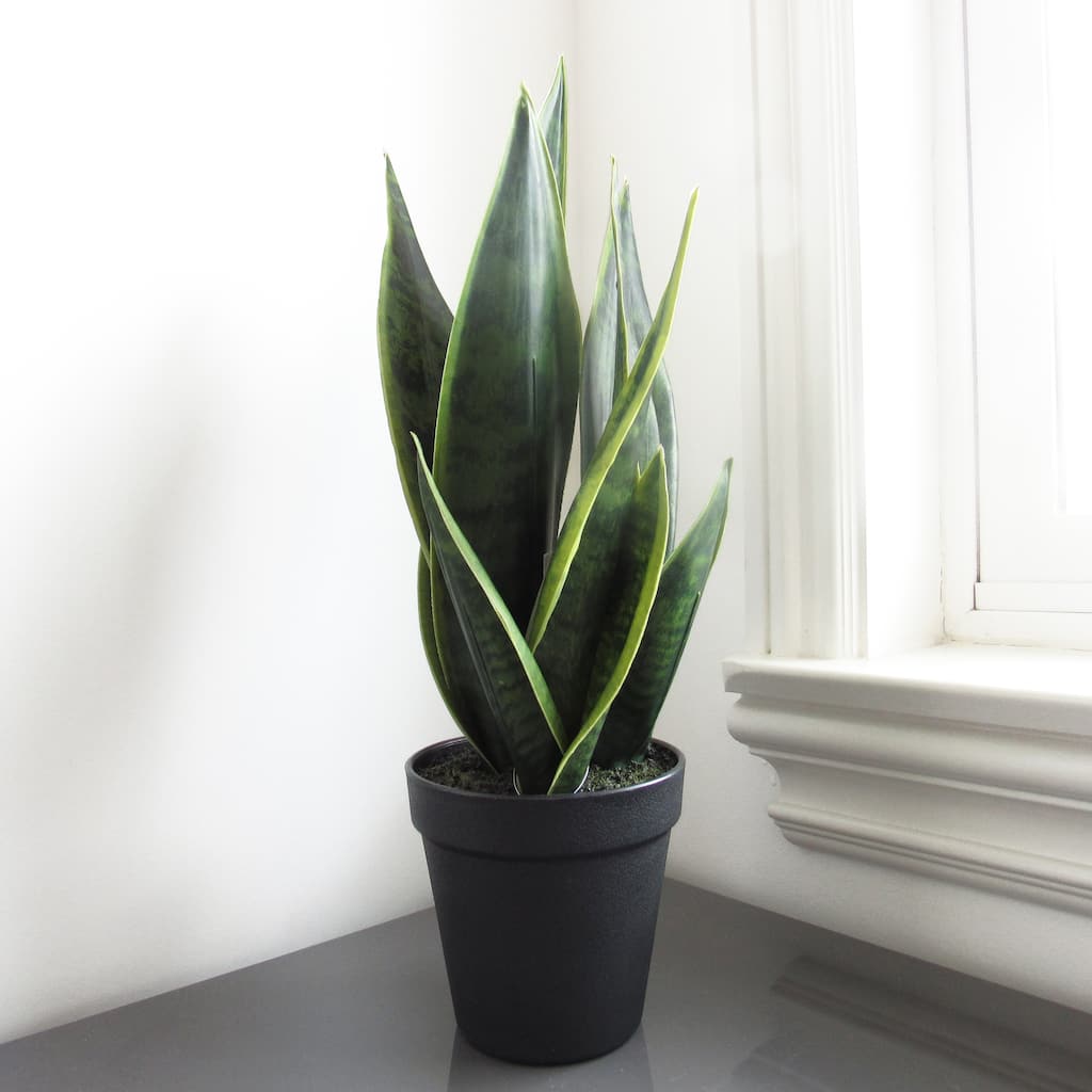 16in Artificial Sansevieria Snake Plant in Black Pot - 16" H x 7" W x 7" DP