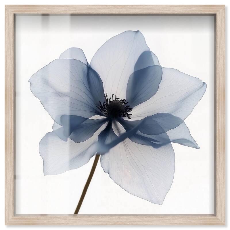 Morning Petalia II Shadowbox by Art Remedy - Natural - 12" x 12"