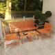 Option Apricot Brown