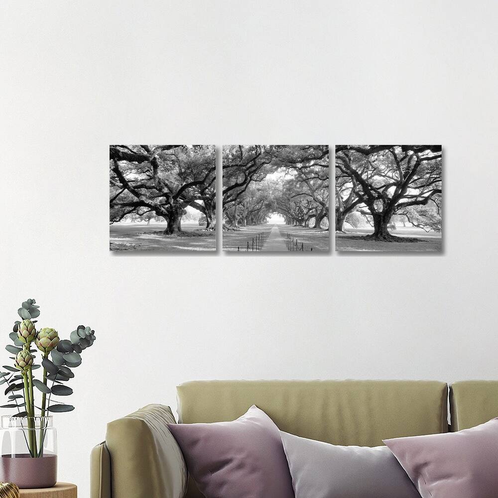 iCanvas "Brick Path Through Alley Of Oak Trees, New Orleans (B&W) II" by Panoramic Images 3-Piece Canvas Wall Art Set
