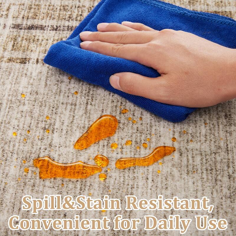 Washable Area Rugs for Living Room, Soft Modern Bordered Rug Non Slip Low Profile Carpets for Bedroom Dining Room