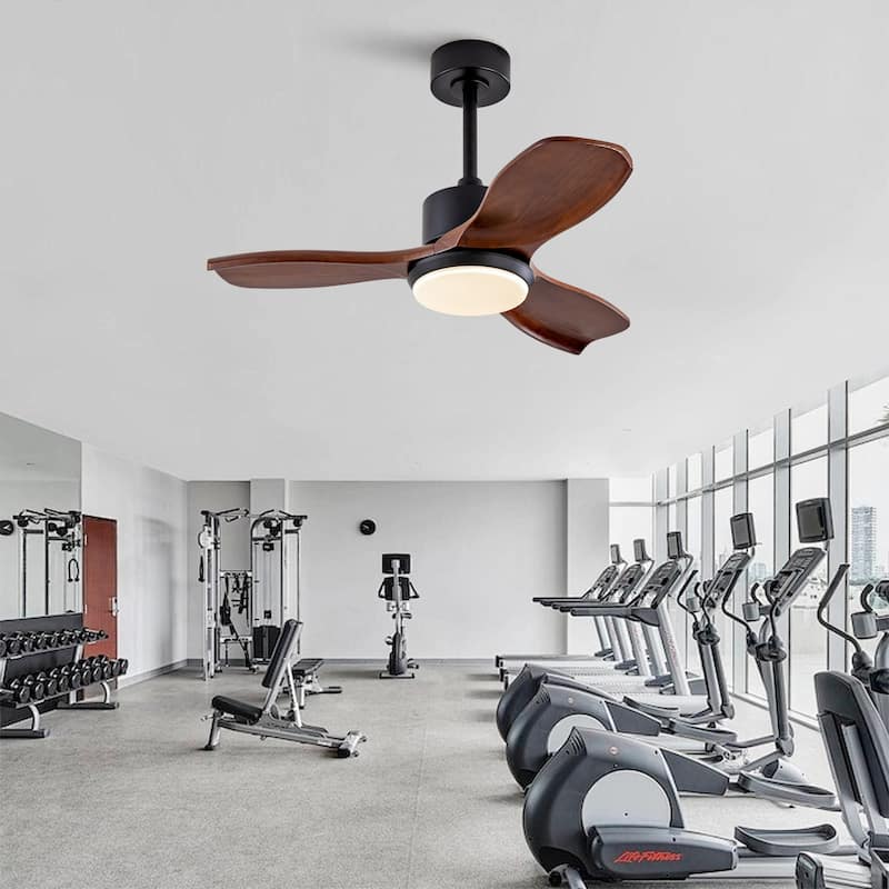 36" Wood Ceiling Fan with Lights Remote Control,Quiet DC Motor 3 Blade Ceiling Fans for Patio Living Room, Bedroom