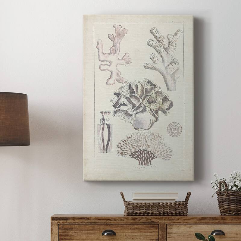 Antique White Coral IV Premium Gallery Wrapped Canvas - Ready to Hang