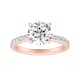 Option Rose
