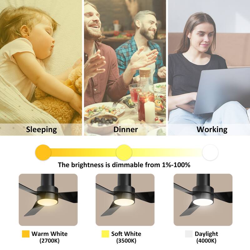 CARRO Nantes 44" Indoor Ceiling Fan with LED Light and Remote Control - N/A