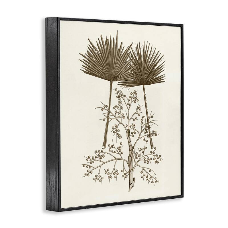 Stupell Palm Leaf & Olive Branches Framed Giclee Art Design By Phillipa Katz