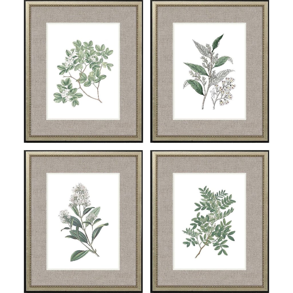 White Flowers S/4 Framed Art Giclee Under Glass
