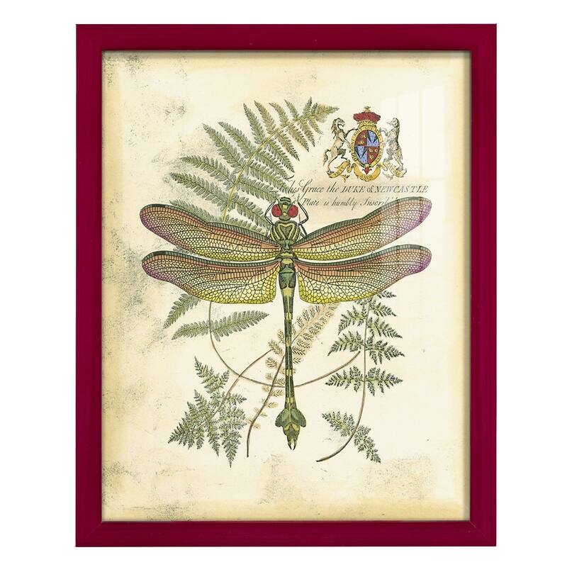 Regal Dragonfly III (PP) -Framed Print w/glass-Cherry Red