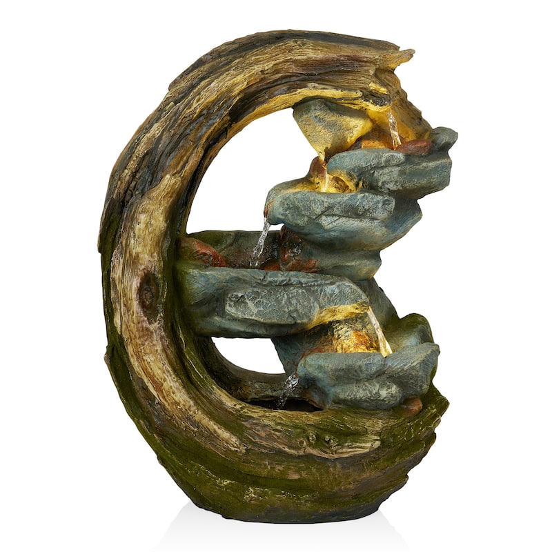 Curved Trunk and Stone Fountain