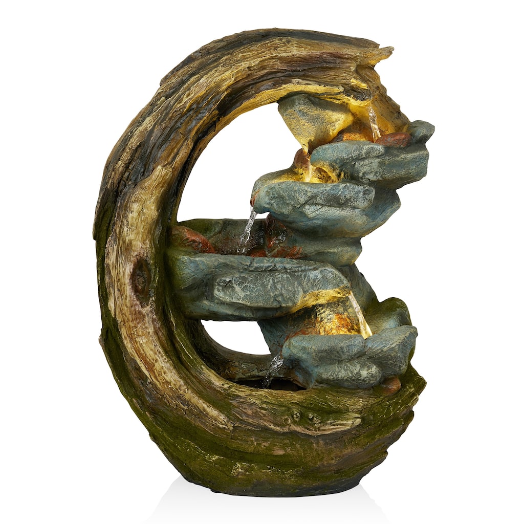 Curved Trunk and Stone Fountain