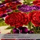 preview thumbnail 22 of 67, Heavy Crafted Thick Floral 9-pound Winter Fleece Blanket 85"x95"