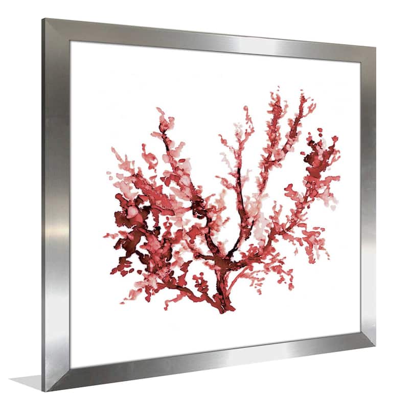 "Sea Coral III" by Carol Robinson Print on Acrylic