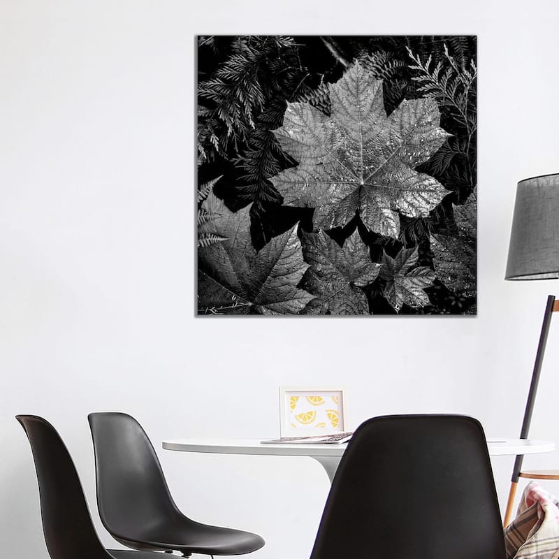 iCanvas "In Glacier National Park XXIII" by Ansel Adams Canvas Print