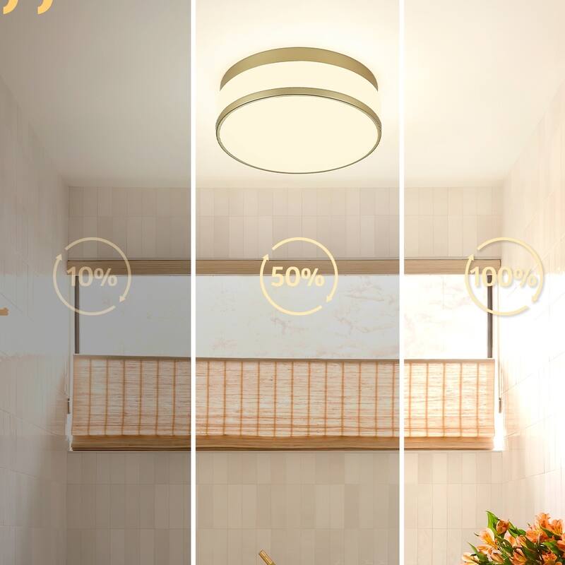 12-Inch Gold Ceiling Light with Frosted Glass - N/A