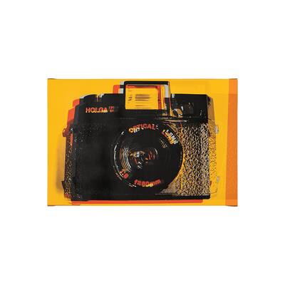 Holga Hue (30 x 20) Canvas Art Print