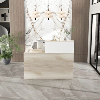 FUFUF &GAGA Computer Reception desk with 1-Drawer & Door