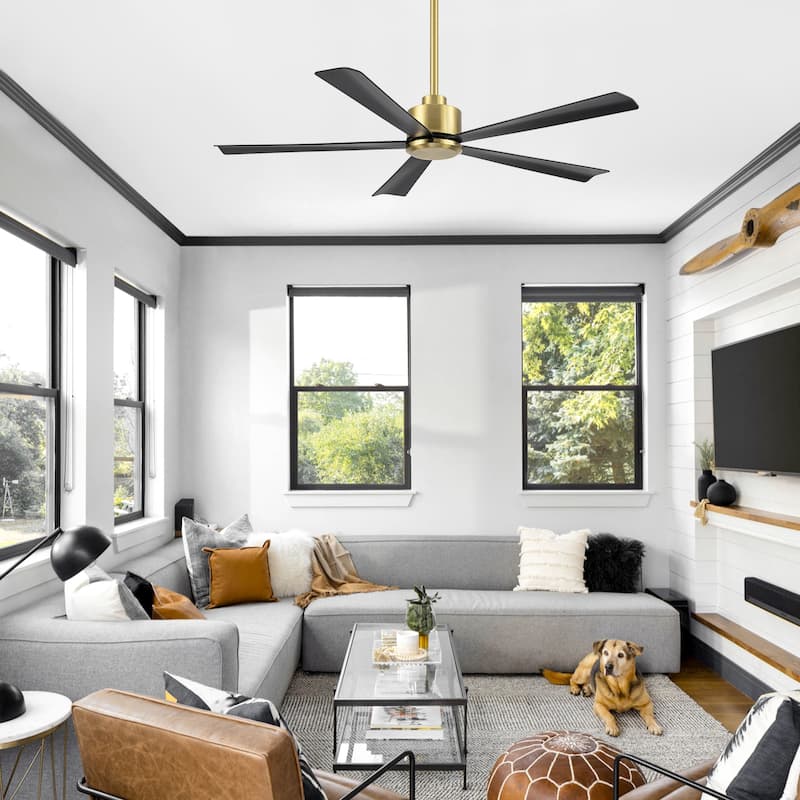 52-Inch Black/White Ceiling Fan with Remote Without Light(5-Blade)