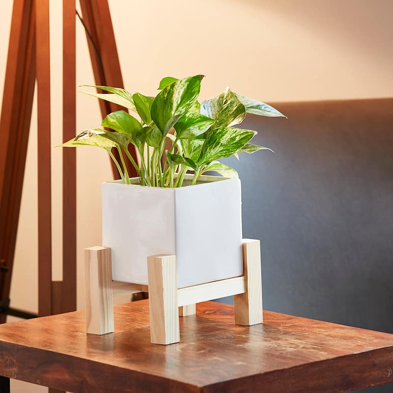 Southern Patio Hemingway Ceremic Square Indoor Planter with Wooden Stand