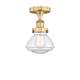 Option Clear / Brushed Brass