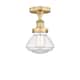 Option Clear / Brushed Brass