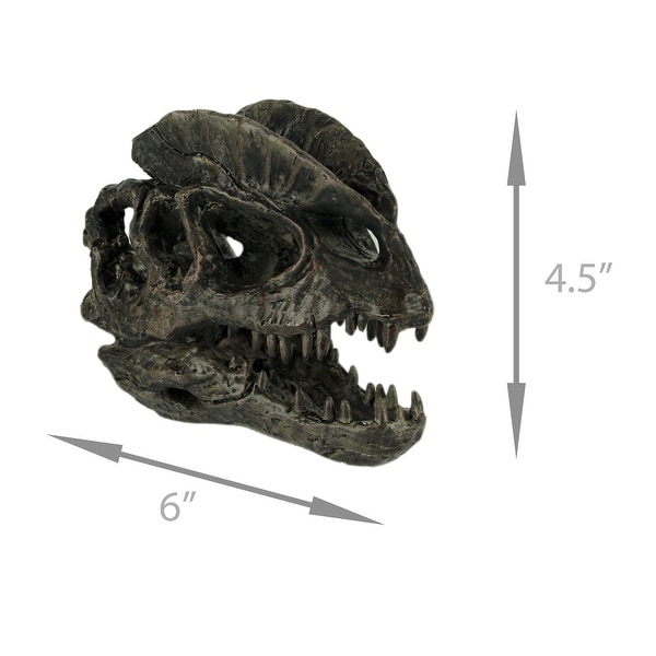 Dilophosaurus fossil for sale sale