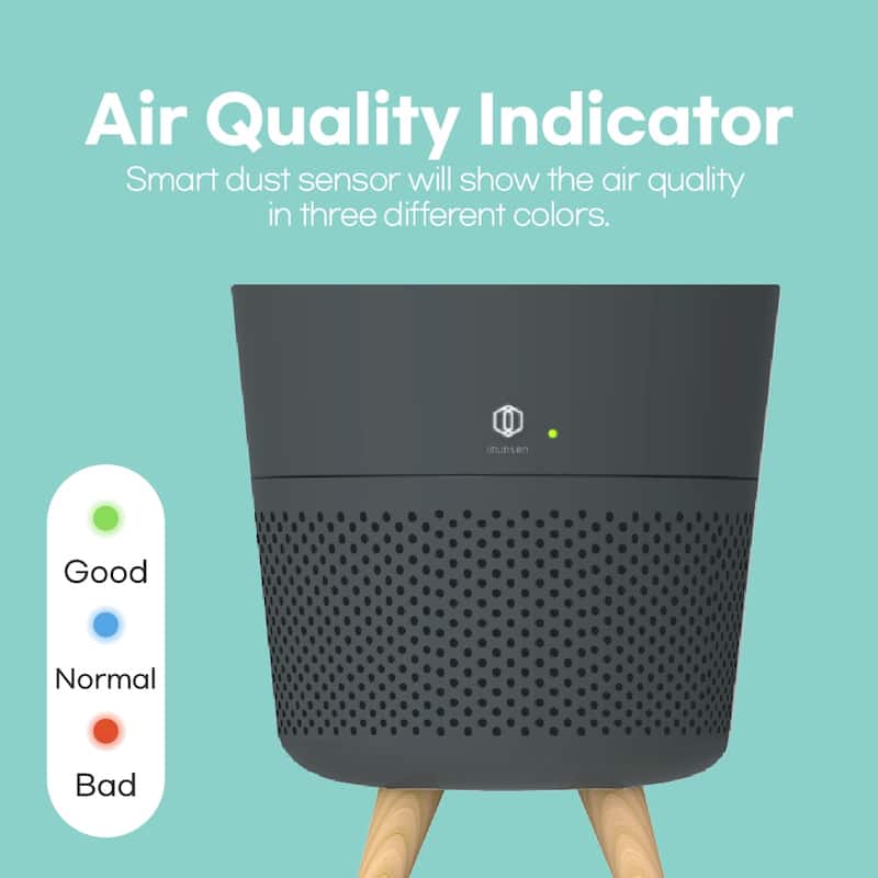 IMUNSEN Office or Bedroom Air Purifier with Cypress Wood Filter and Auto Sleep Mode